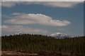 NR3873 : Looking across Bunnahabhain conifer plantation to the Paps of Jura by Becky Williamson