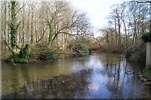 SU3642 : River Anton - Goodworth Clatford by Mr Ignavy