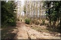 Footpath to Clatford Mills