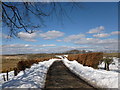 Minor road near Drumboy Farm