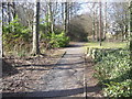 Country Park Pathway