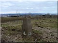 Clatto Hill OS trig point