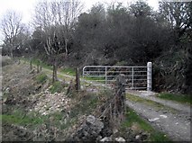 J1727 : Lane leading to a quarry off the Hilltown Road by Eric Jones