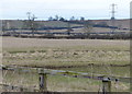 Farmland near Welham Lodge