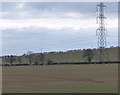 SP7593 : Electricity pylon and field near Welham Lodge by Mat Fascione