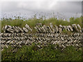 Stone wall, near Tintagel