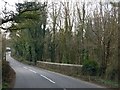 Bridge over River Lyd south of Perry Spears