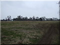 Farmland, Alveston