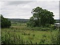 Field near Beleek