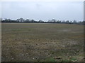 Farmland near Redlands