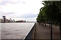 Tree lined Lawrence Wharf