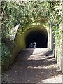 Shrewley Horse Tunnel, Grand Union Canal