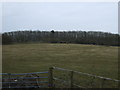 Farmland off the B4087