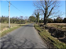 H3873 : Claragh Road by Kenneth  Allen