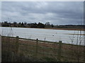 Covered crops of Wellesbourne Road