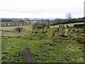 Bridleway south of Shildonhill