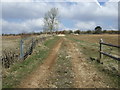 Farm track of the A436