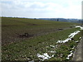 Farmland near Stow Road Plantation