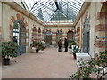 Tyntesfield - inside the orangery