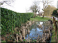 Pond by Ketches Lane