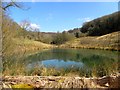 Pond near Brook Farm