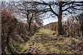 Bridleway between Rowde and The Kennet and Avon Canal