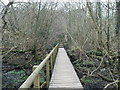 Footbridge in Burned Hey Wood