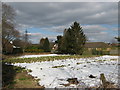 Vegetable Garden behind St Luke