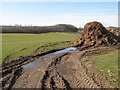 Pasture with manure heap