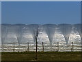 Polytunnels by Mill Lane, near Lynsted