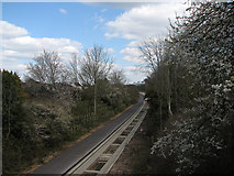 TL4454 : Blossom and busway by John Sutton