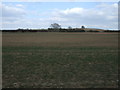 Farmland off Shipston Road