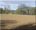 Farmland off the A3400, Ailstone