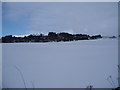 Snow covered field at Auchterhouse