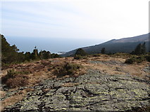 J3630 : Rock outcrops on the summit of Drinnahilly by Eric Jones