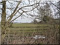 Field gate on the north side on Manor House Lane