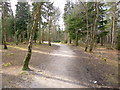 Ramsdown, bridleway