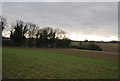 Farmland near Merton Cottages