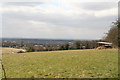 A field shelter with a view