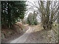 Bollards across Manor House Lane