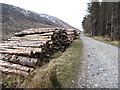 J3629 : Log piles in Donard Forest by Eric Jones