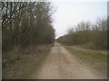 Track on Hatfield Moor