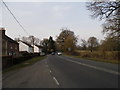 The A281, Monk