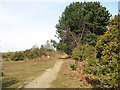 Path along the eastern edge of Toby