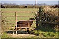 Mid Devon : Grassy Field & Black Sheep