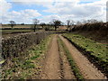 Track heading East from Feedale Farm