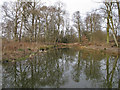 TL5226 : Pond in Aubrey Buxton Nature Reserve by Roger Jones