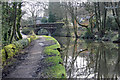 Plucksbridge from the towpath