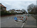 Road works in Castlemain Avenue