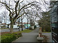 Pavement in Carbery Avenue